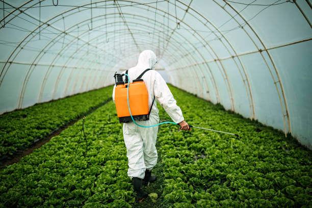Best Local Pest Control Services  in Bing, OR