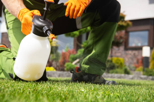 Best Rat Extermination Near Me  in Bing, OR