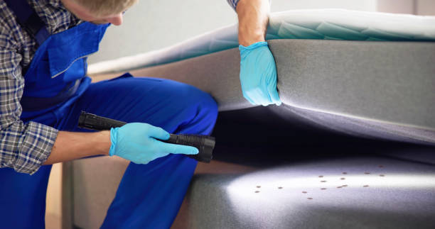 Best Cockroach Control Services  in Bing, OR