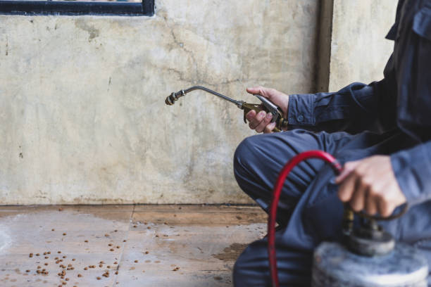 Best Best Pest Control Companies  in Bing, OR